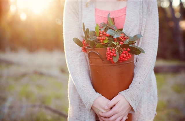 50岁女人网名简单干净 50岁女人网名简单干净