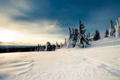​关于愚人节的幽默句子愚人节搞笑短信(87句)