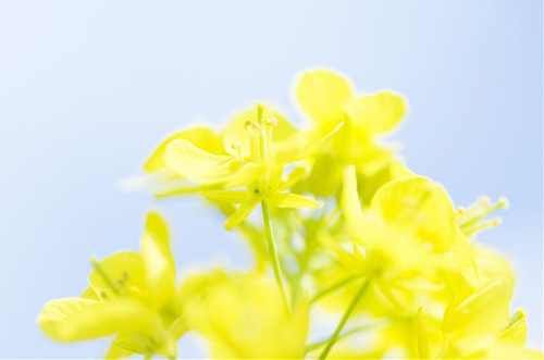 关于情人节搞笑语录光棍节恶搞语录搞笑(精选48句)