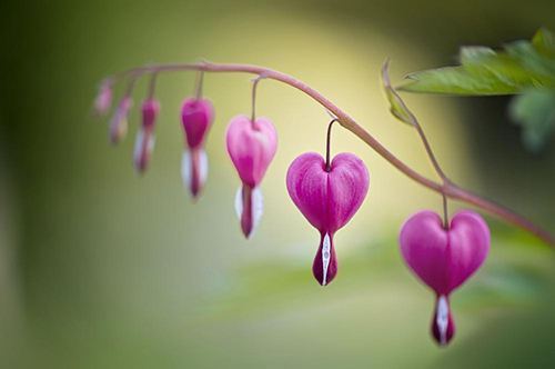 表递进关系的句子45句