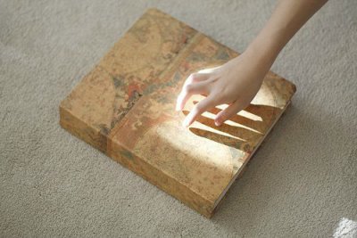 ​动物句子英语