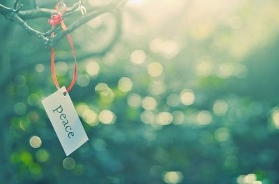 ​有关爱的句子81句