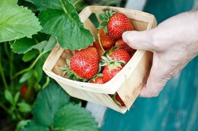 ​可爱唯美qq性签名85句