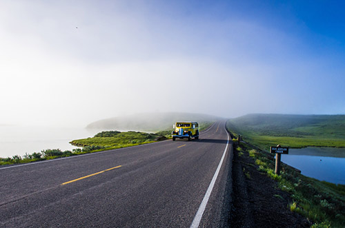 表达爱一人的句子110句