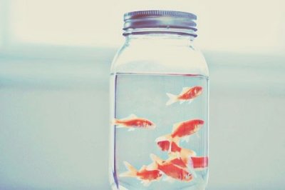 ​祝自己生日快乐短句祝自已生日快乐的句子(49句)