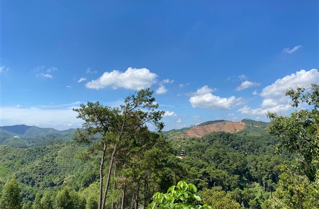 耐听的网名女 耐听的网名女