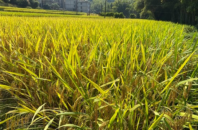 最有深度的网名(精选1337个) 最有深度的网名(精选1337个)