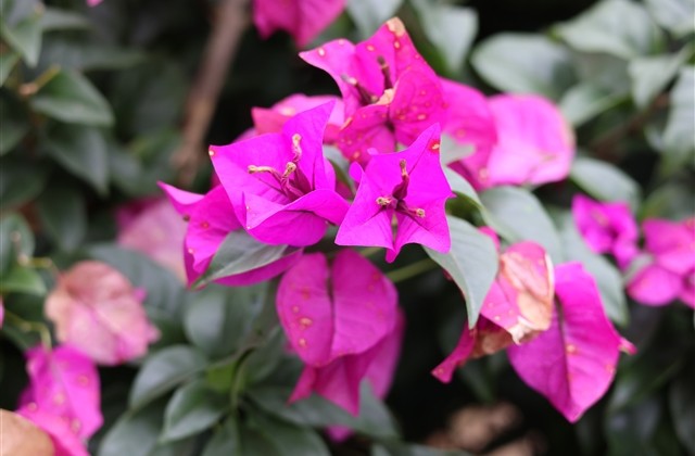 好听成熟稳重的男生网名(1328个) 好听成熟稳重的男生网名(1328个)