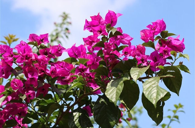 五个字的伤感游戏网名(1177个) 五个字的伤感游戏网名(1177个)