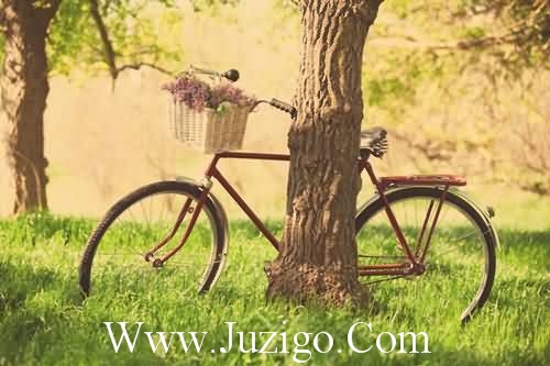 致敬抗疫英雄的话语赞美抗疫英雄的一段话(精选65句)