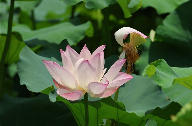 王者荣耀简单又好听的名字(优选873个) 王者荣耀简单又好听的名字(优选873个)