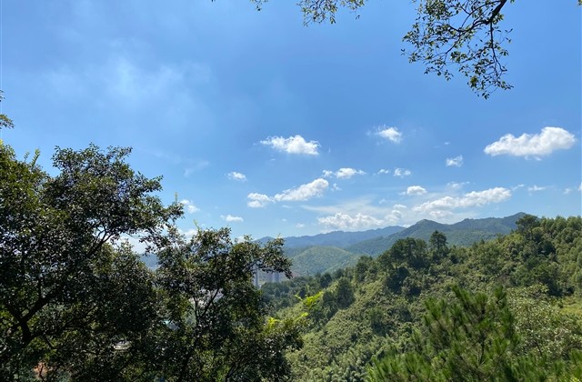 四个字难听情侣网名(优选552个) 四个字难听情侣网名(优选552个)