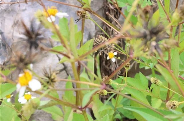 个性女生超拽霸气名字 个性女生超拽霸气名字
