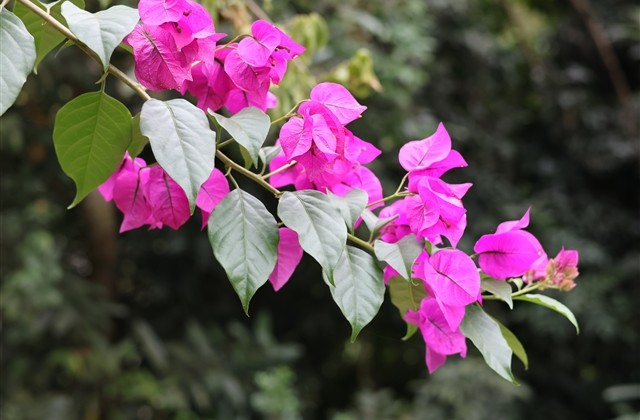 好听两字罕见id(1246个) 好听两字罕见id(1246个)