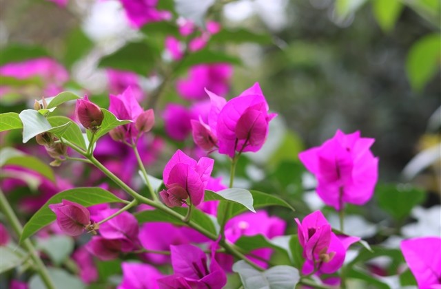 cf六个字名字大全冷酷(优选761个) cf六个字名字大全冷酷(优选761个)