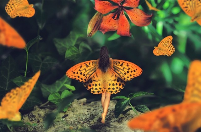 特别好听的男生网名(942个) 特别好听的男生网名(942个)