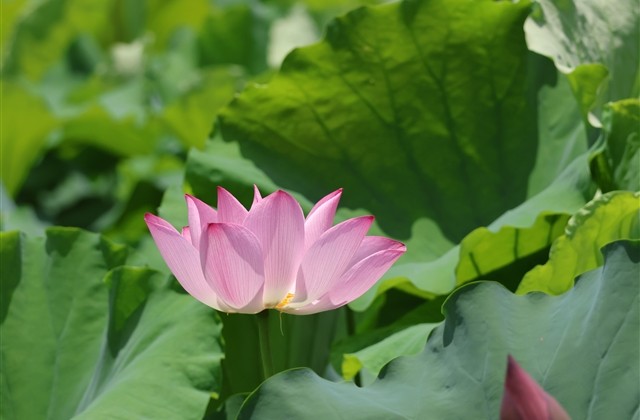 搞笑5个字游戏名字(707个) 搞笑5个字游戏名字(707个)