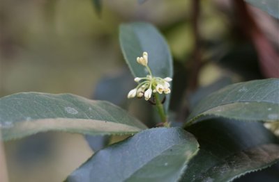 ​让人心动的qq网名(共801个)