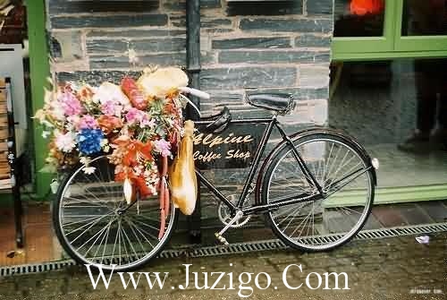 关于感恩的英语谚语