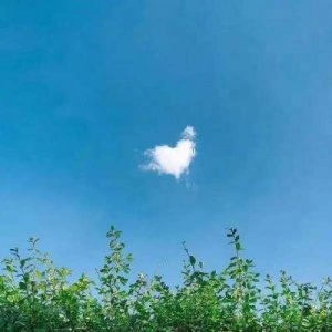​女孩qq网名大全（好听的qq个性签名）