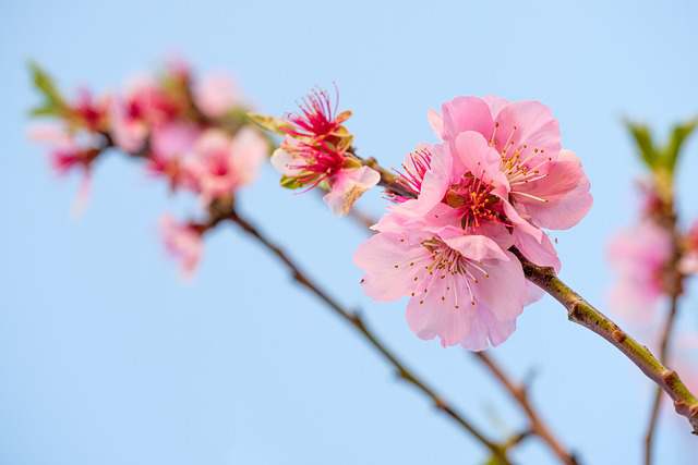 经典毒鸡汤(精选82句)