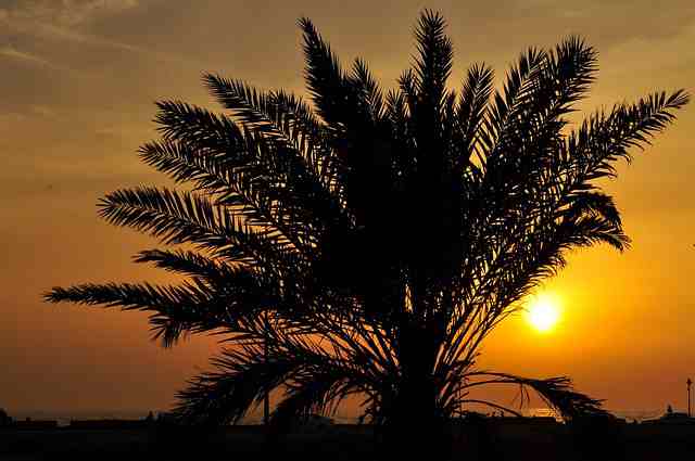 适合发微信的经典句子(精选41句)