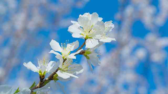 人生感悟的句子简短的说说(精选56句)