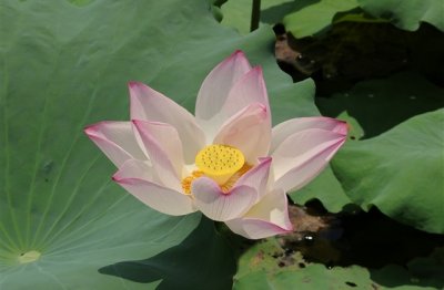 ​可爱个性网名大全女生版带符号(精选170个)