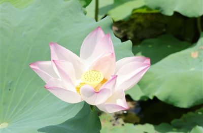 ​冷门且高级的情侣网名(精选101个)