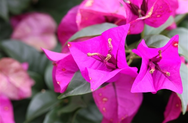 甜蜜可爱的冰激凌网名(优选154个) 甜蜜可爱的冰激凌网名(优选154个)