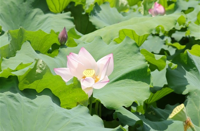 关于青春的一些网名(优选167个) 关于青春的一些网名(优选167个)