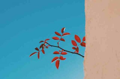 ​唯美励志暖心句子简短（优质46句）