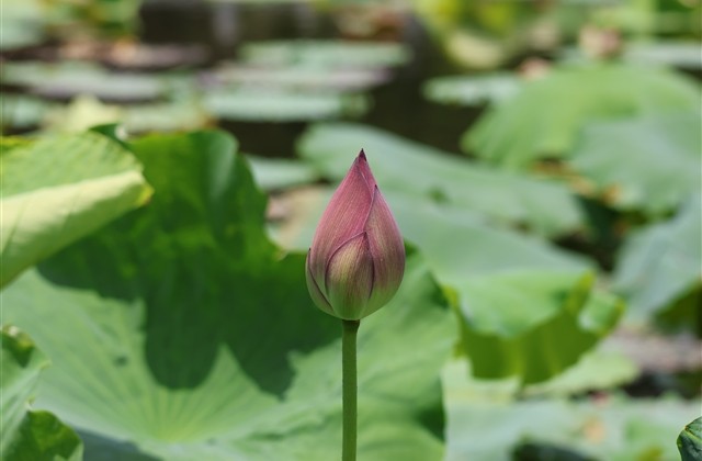 纯情少年受过伤的qq网名(精选187个)