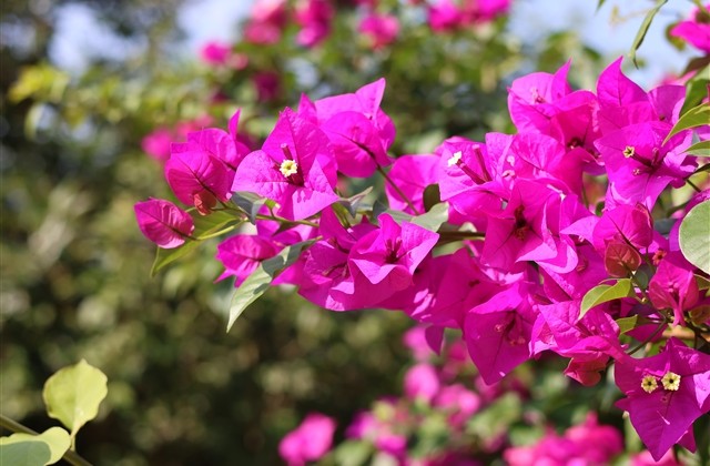 暖心文艺时尚男生网名(共173个) 暖心文艺时尚男生网名(共173个)