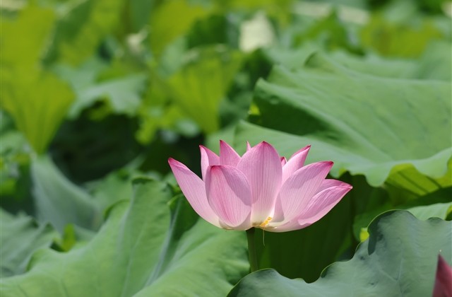 暖心文艺时尚男生网名(共173个) 暖心文艺时尚男生网名(共173个)