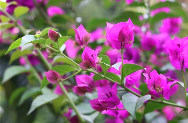 男孩女孩个性阳光网名大集(优选179个) 男孩女孩个性阳光网名大集(优选179个)