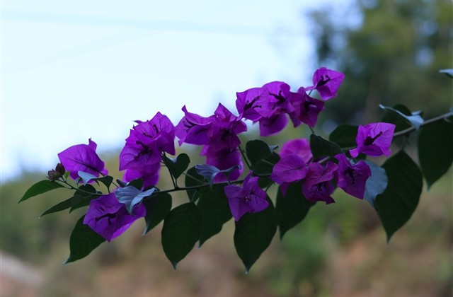 男孩女孩个性阳光网名大集(优选179个) 男孩女孩个性阳光网名大集(优选179个)