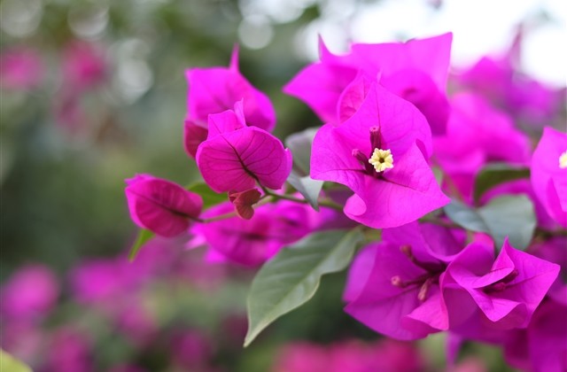 女生qq非主流网名(共169个) 女生qq非主流网名(共169个)