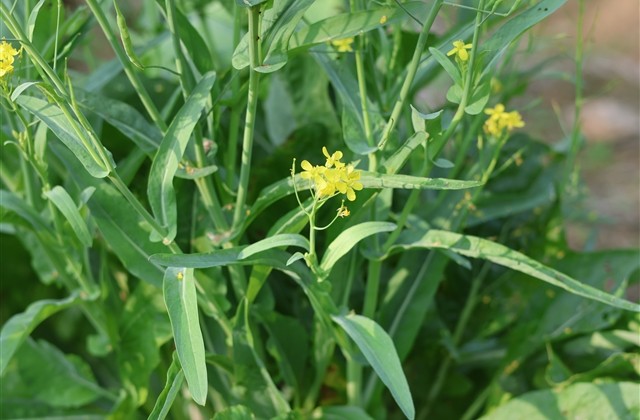 我的挚爱qq网名大全(共147个) 我的挚爱qq网名大全(共147个)