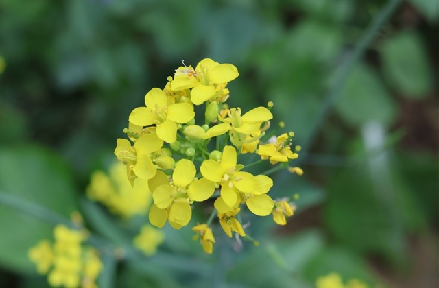 我的挚爱qq网名大全(共147个) 我的挚爱qq网名大全(共147个)