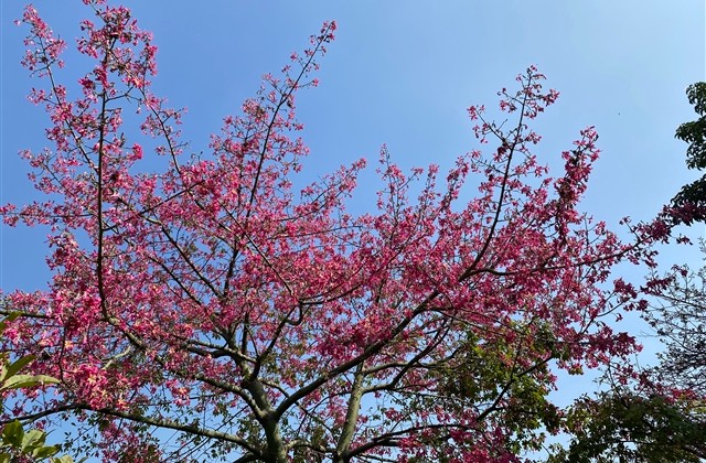 好听的情侣网名 好听的情侣网名
