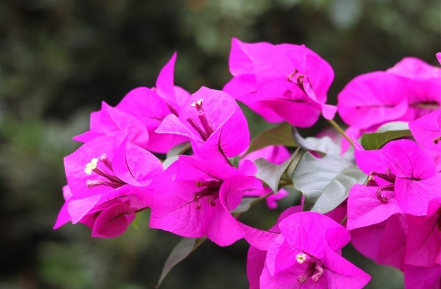 王者荣耀小仙女名字(167个) 王者荣耀小仙女名字(167个)