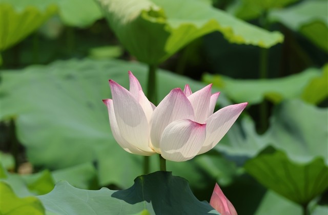 好看的QQ空间个性名字(123个) 好看的QQ空间个性名字(123个)