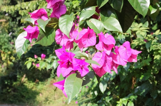 让人过目不忘的昵称最好听的网名(精选144个) 让人过目不忘的昵称最好听的网名(精选144个)