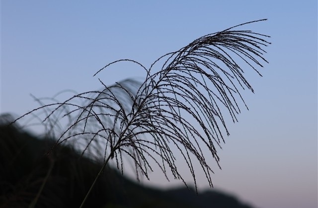 好听又可爱的网名女生 好听又可爱的网名女生