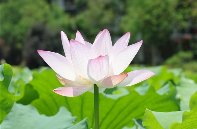 甜美小清新qq女生网名(154个) 甜美小清新qq女生网名(154个)