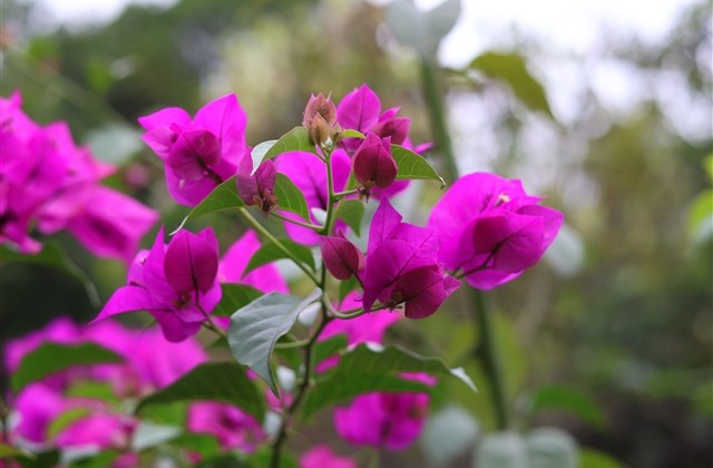 甜美小清新qq女生网名(154个) 甜美小清新qq女生网名(154个)