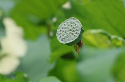 ​表达自己单身的网名 一看就是单身的网名