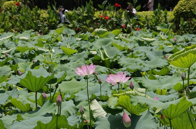 帅气的网名超拽霸气 帅气的网名超拽霸气