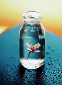 ​自己生日发朋友圈的句子抖音 抖音朋友圈很皮的句子